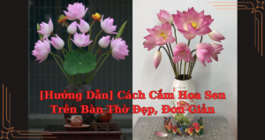 Hướng dẫn cắm hoa sen trên bàn thờ