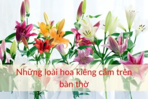 Những loại hoa kiêng cắm trên bàn thờ